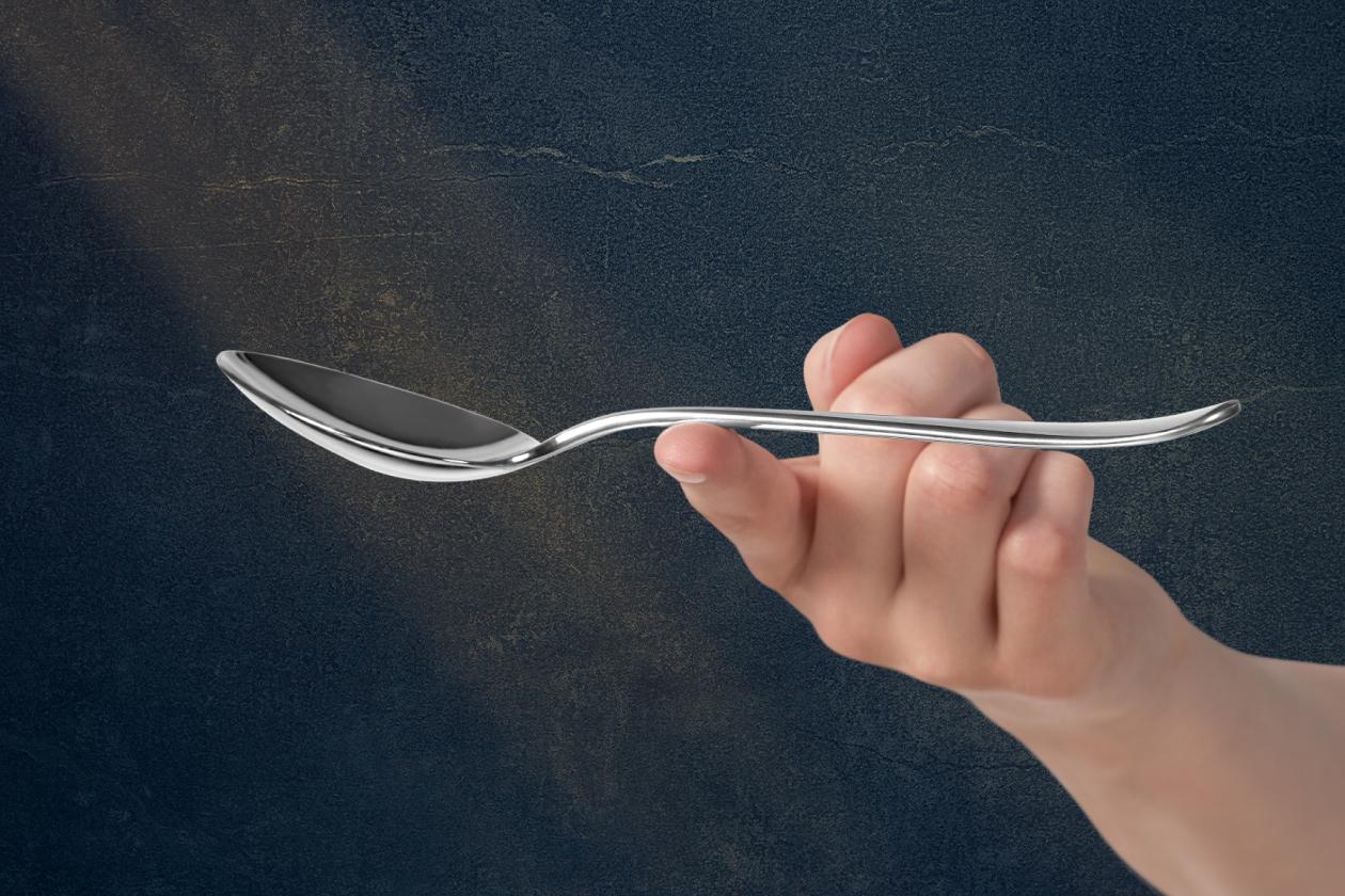 Набор столовых приборов WMF Virginia Crom. Protect 66 предметов