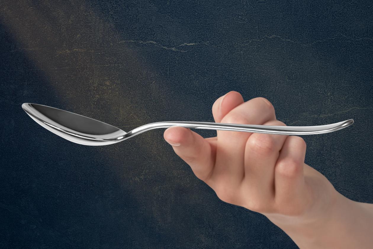 Набор столовых приборов WMF Flame 66 предметов