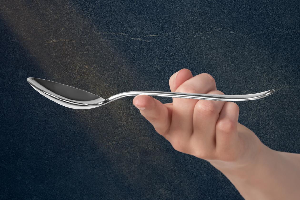 Набор столовых приборов WMF Merit 66 предметов